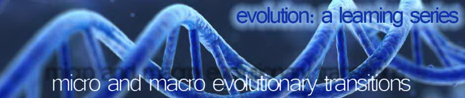 Understanding Evolution: Macroevolution & Major Transitions